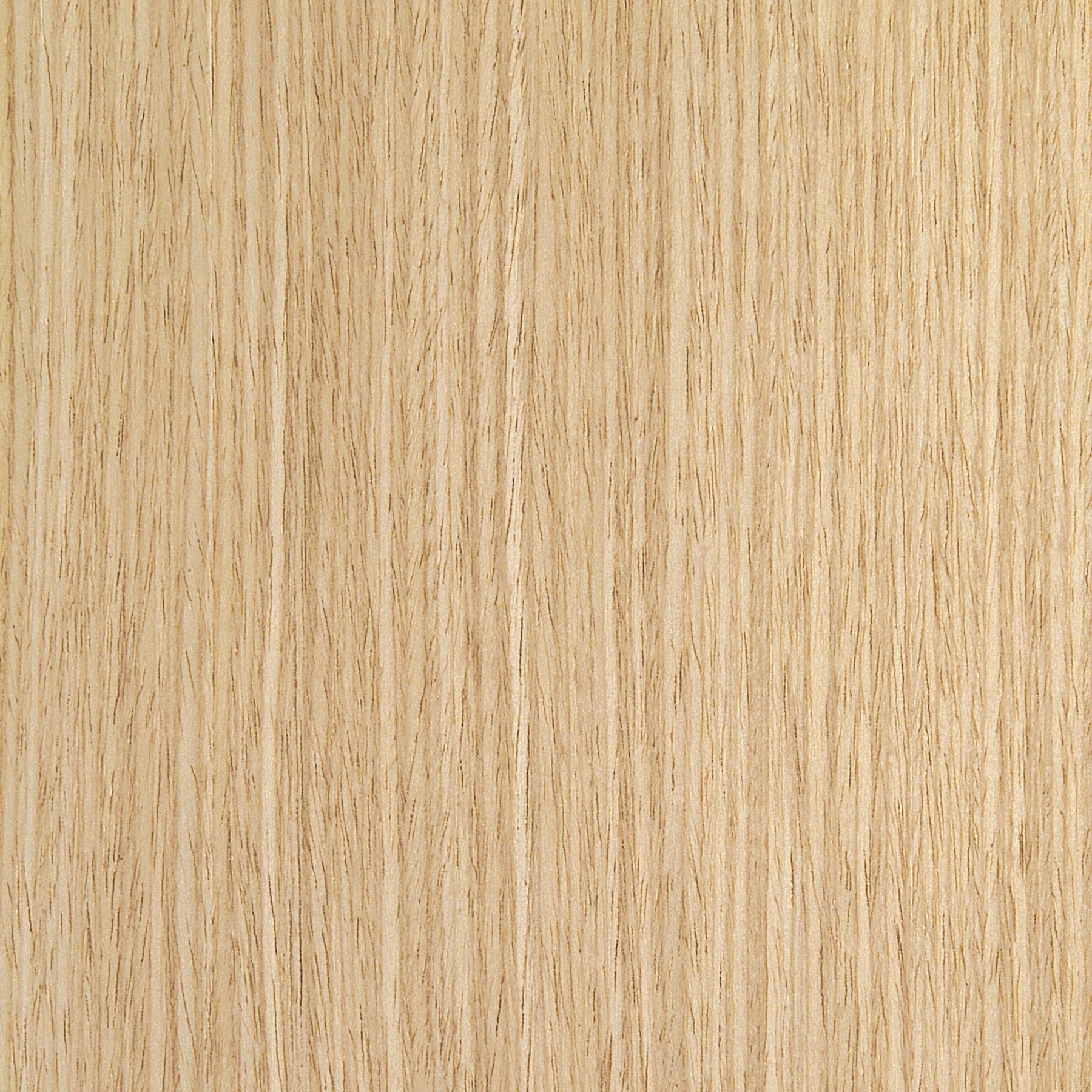 White oak sample